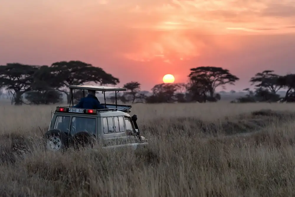 Luxusreise Botswana — exklusive Reise mit The New Luxury